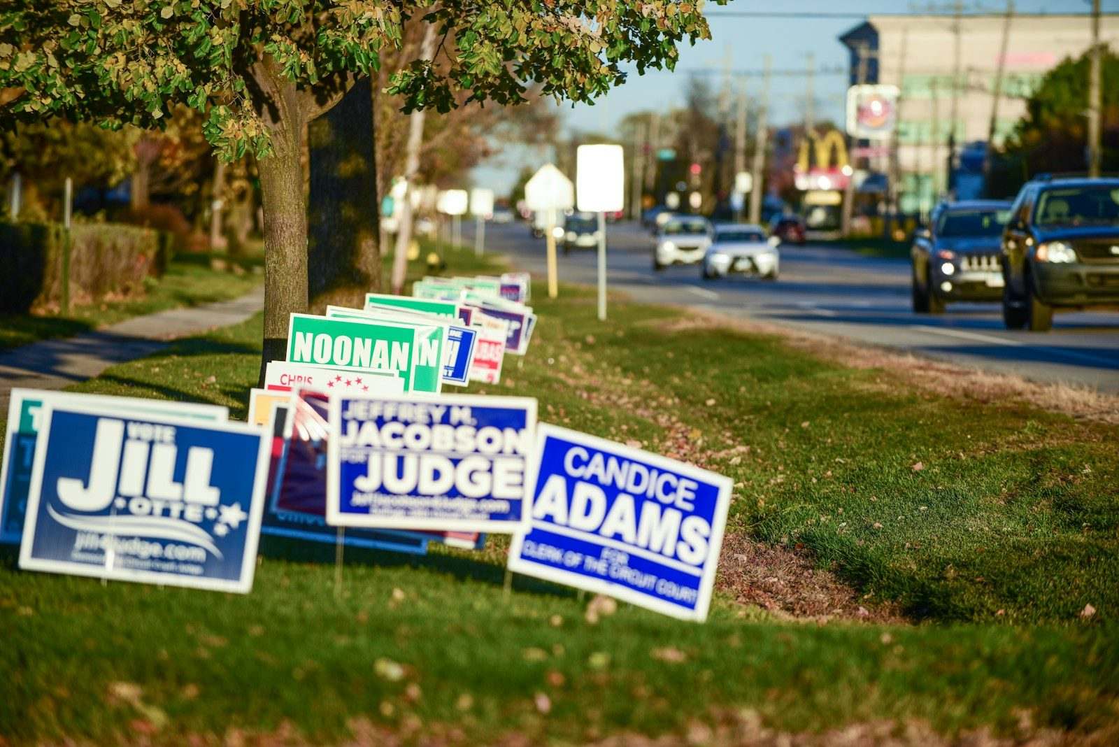 Roadside campaign yard signs for local judicial and county races ahead of an election